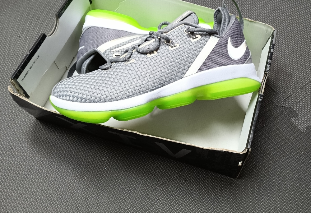 Lebron James XIV size 10